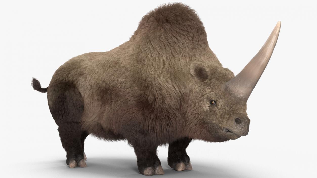 Elasmotherium Rigged Fur 3D model