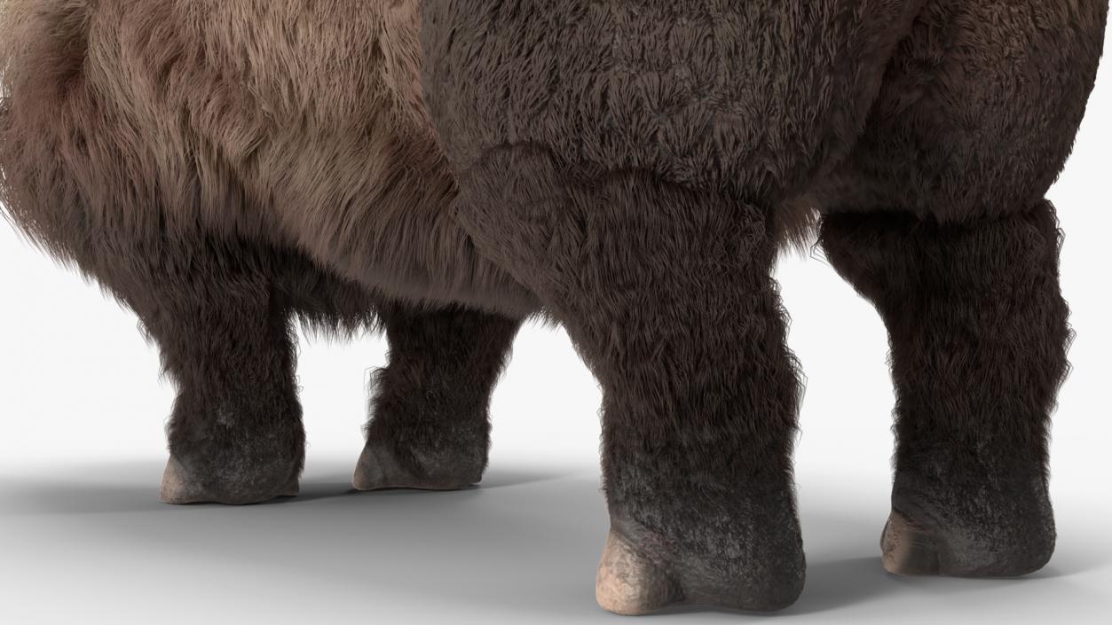 Elasmotherium Rigged Fur 3D model