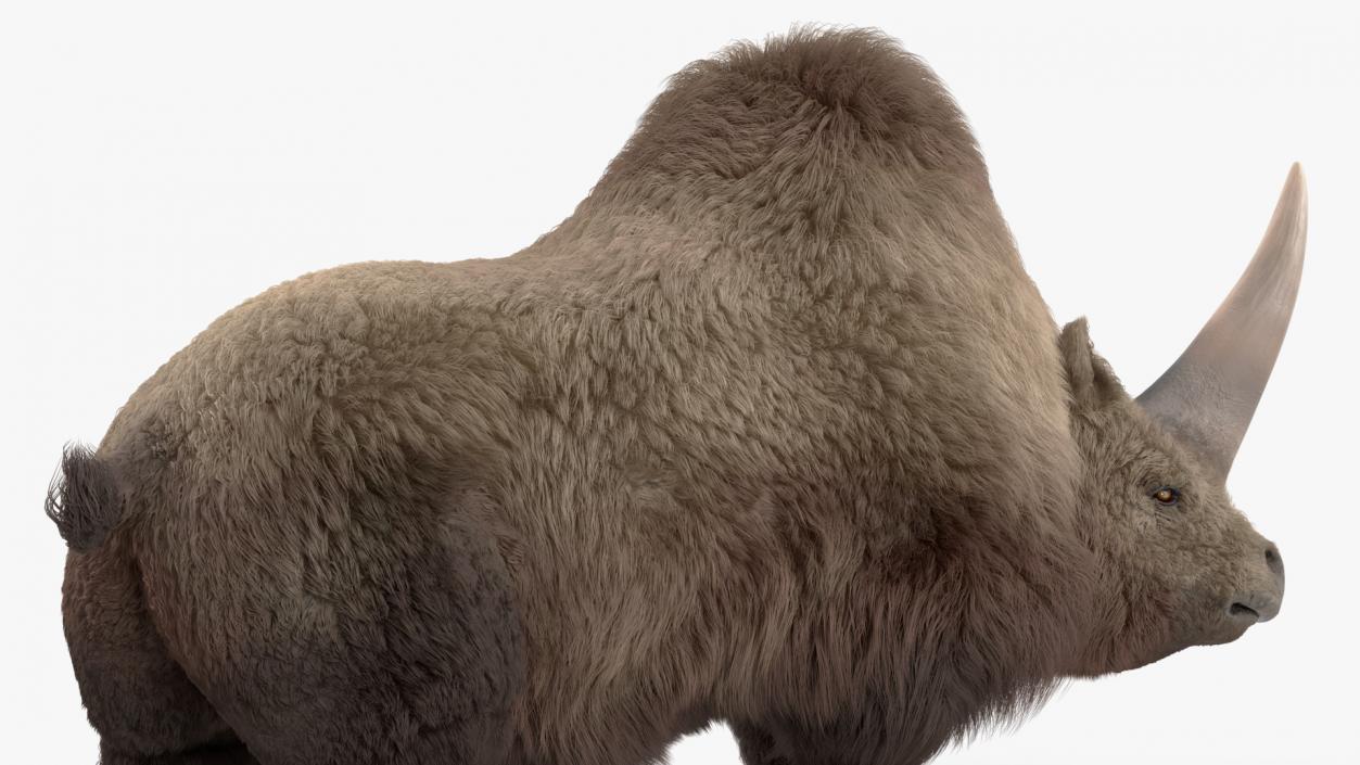 Elasmotherium Rigged Fur 3D model