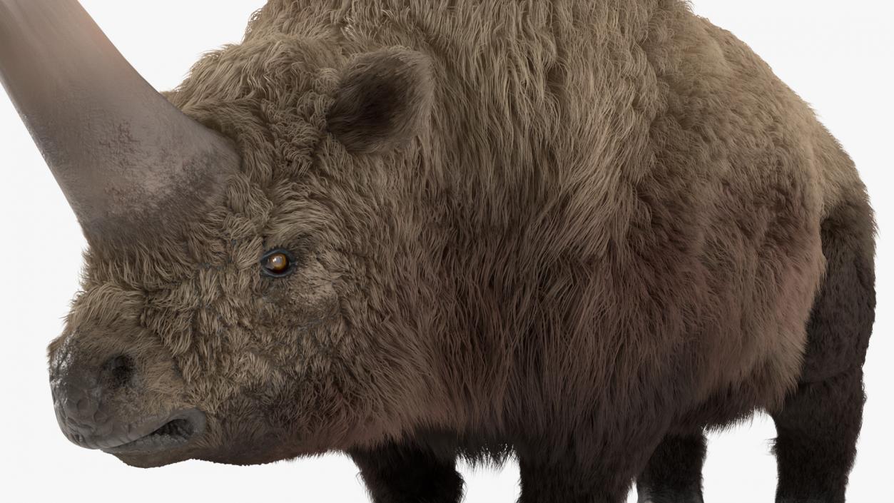 Elasmotherium Rigged Fur 3D model