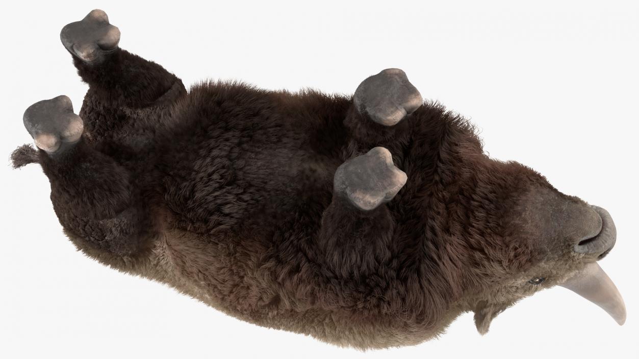 Elasmotherium Rigged Fur 3D model