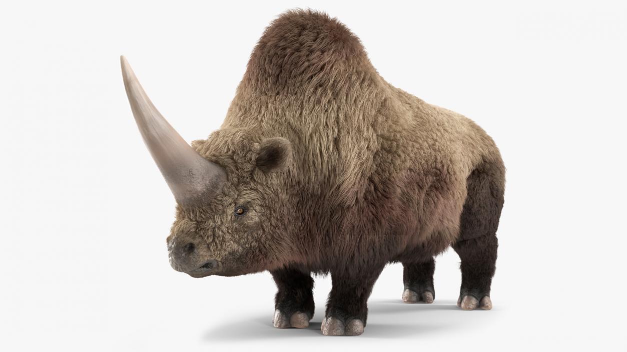 Elasmotherium Rigged Fur 3D model