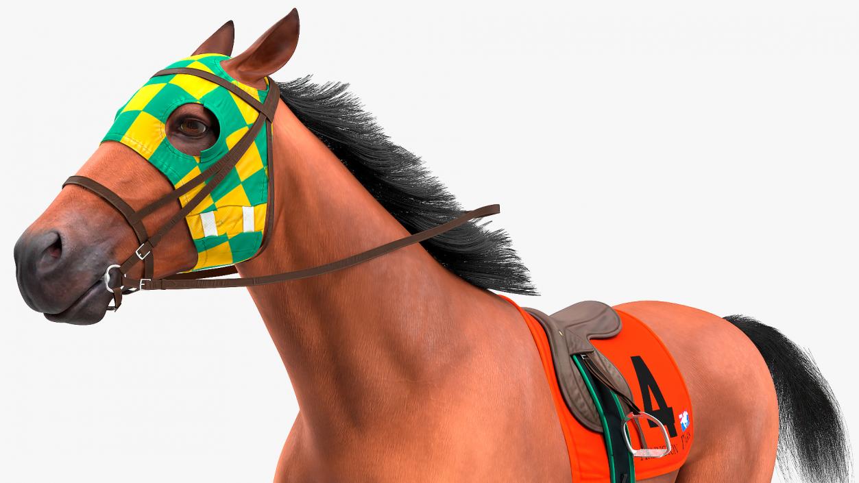 Bay Racehorse Fur Rigged 3D model