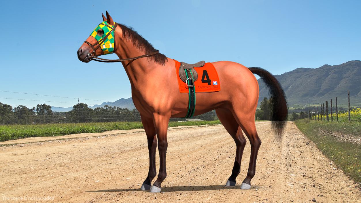 Bay Racehorse Fur Rigged 3D model