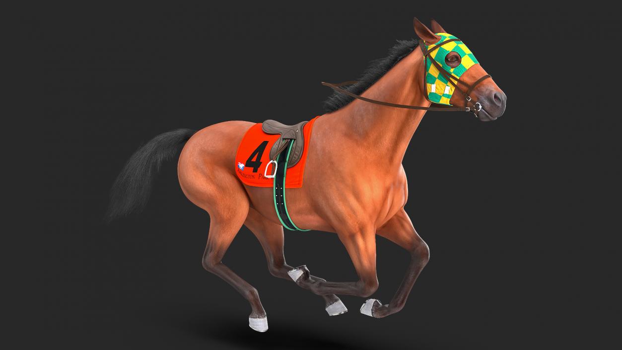 Bay Racehorse Fur Rigged 3D model