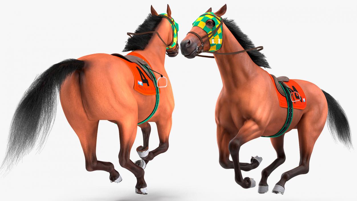 Bay Racehorse Fur Rigged 3D model