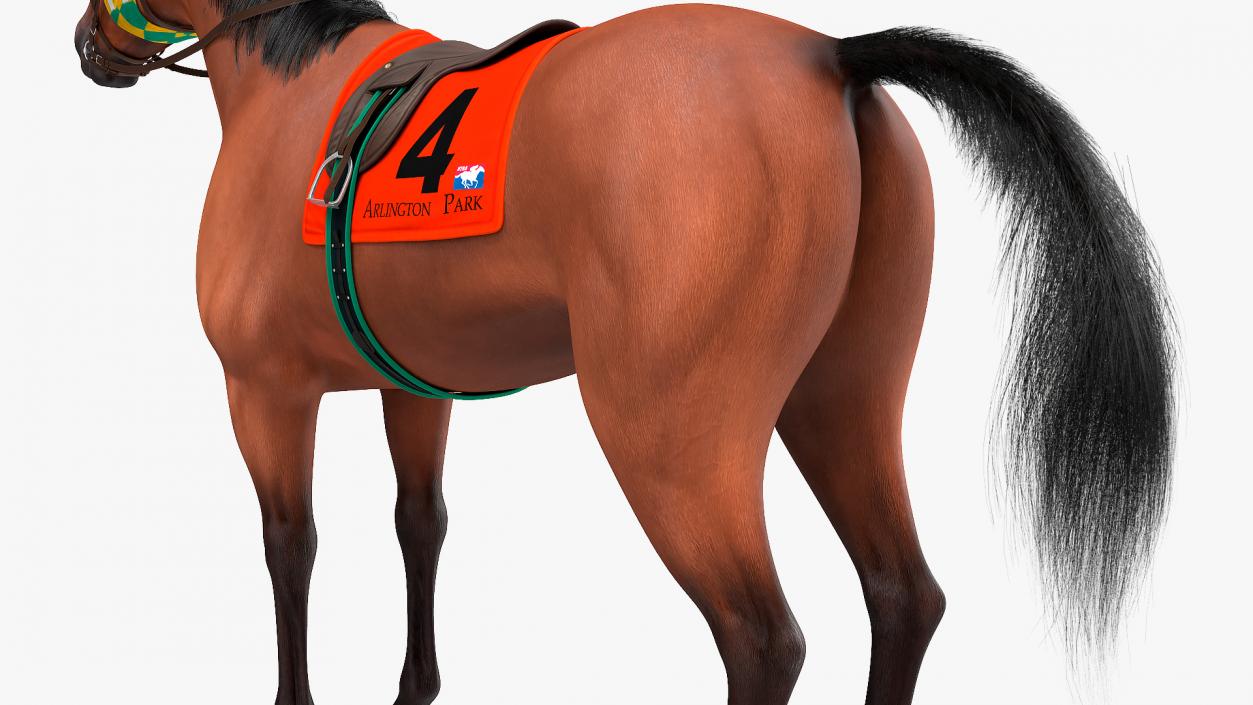 Bay Racehorse Fur Rigged 3D model