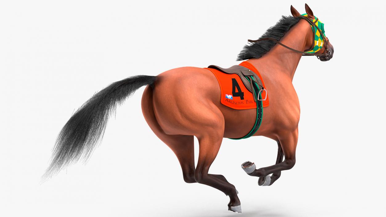 Bay Racehorse Fur Rigged 3D model