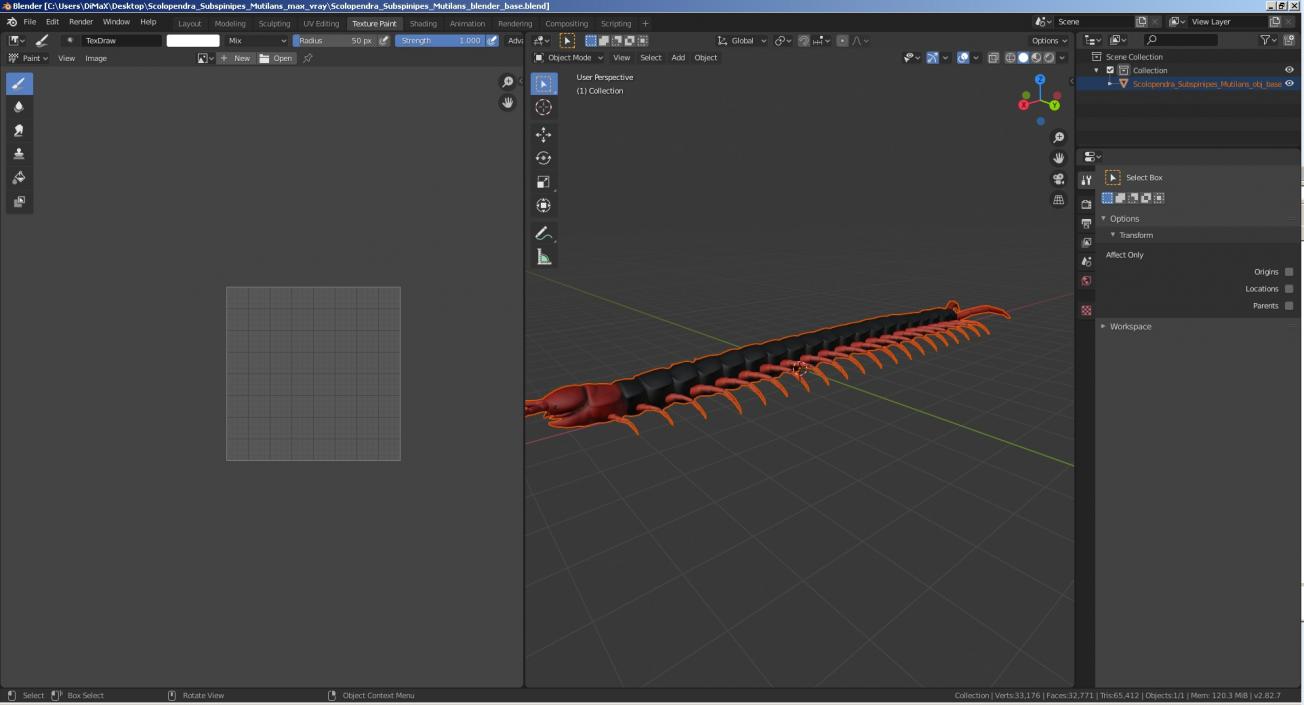 Scolopendra Subspinipes Mutilans 3D