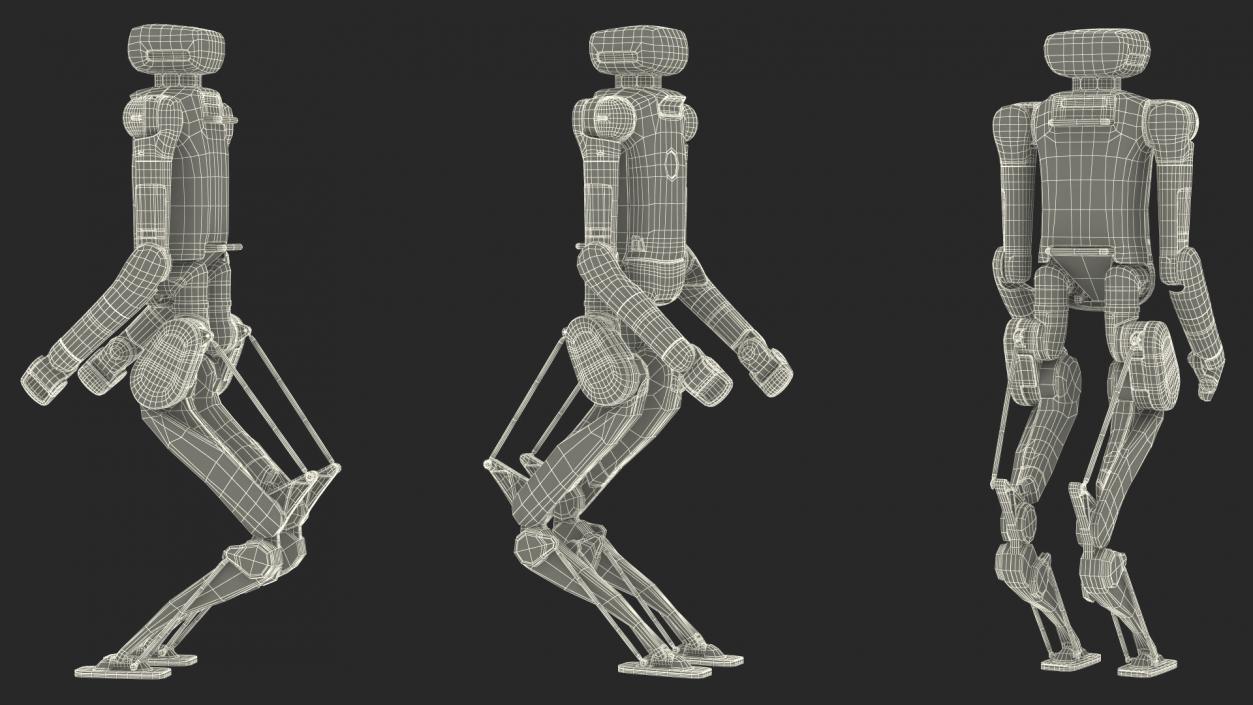 3D Digit Robot Rigged model