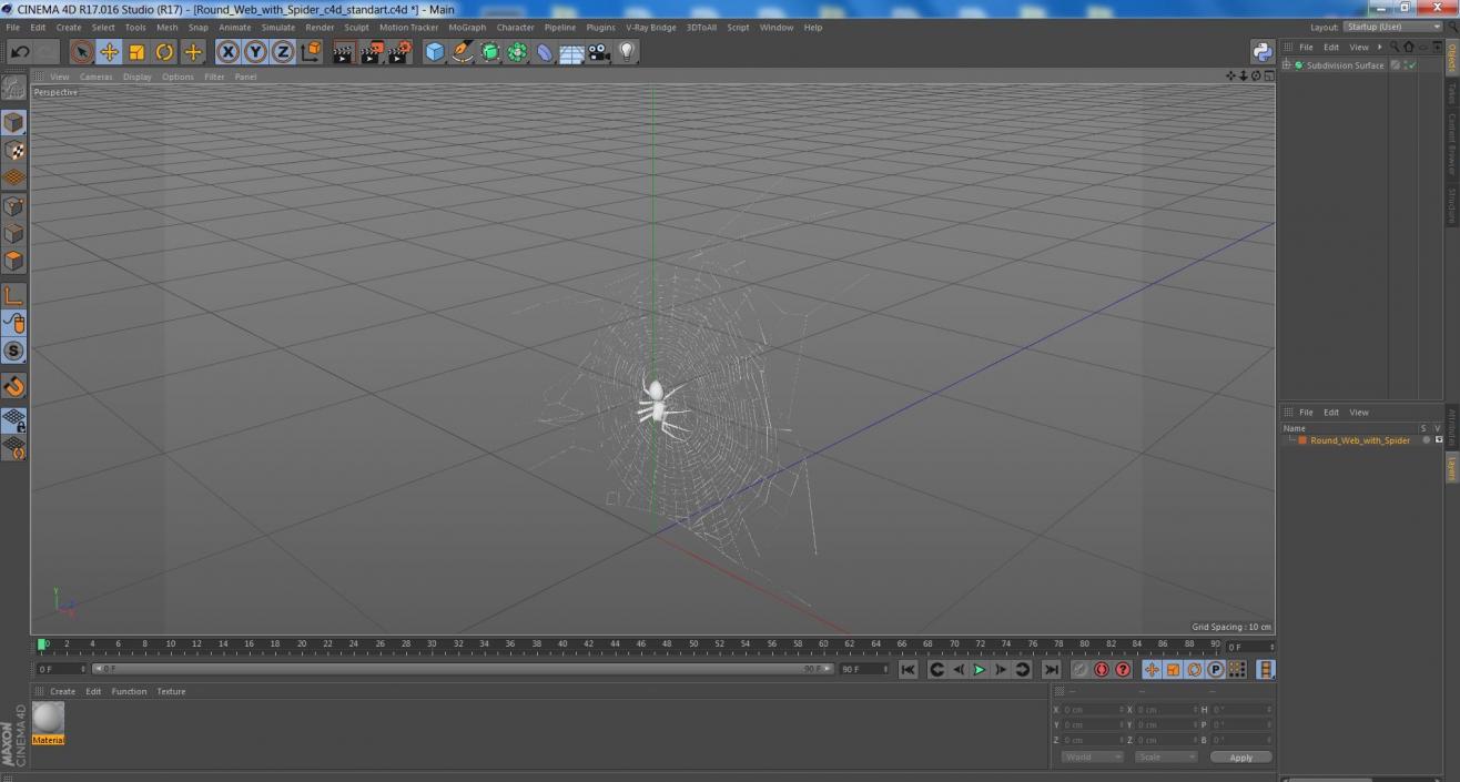 3D Round Web with Spider