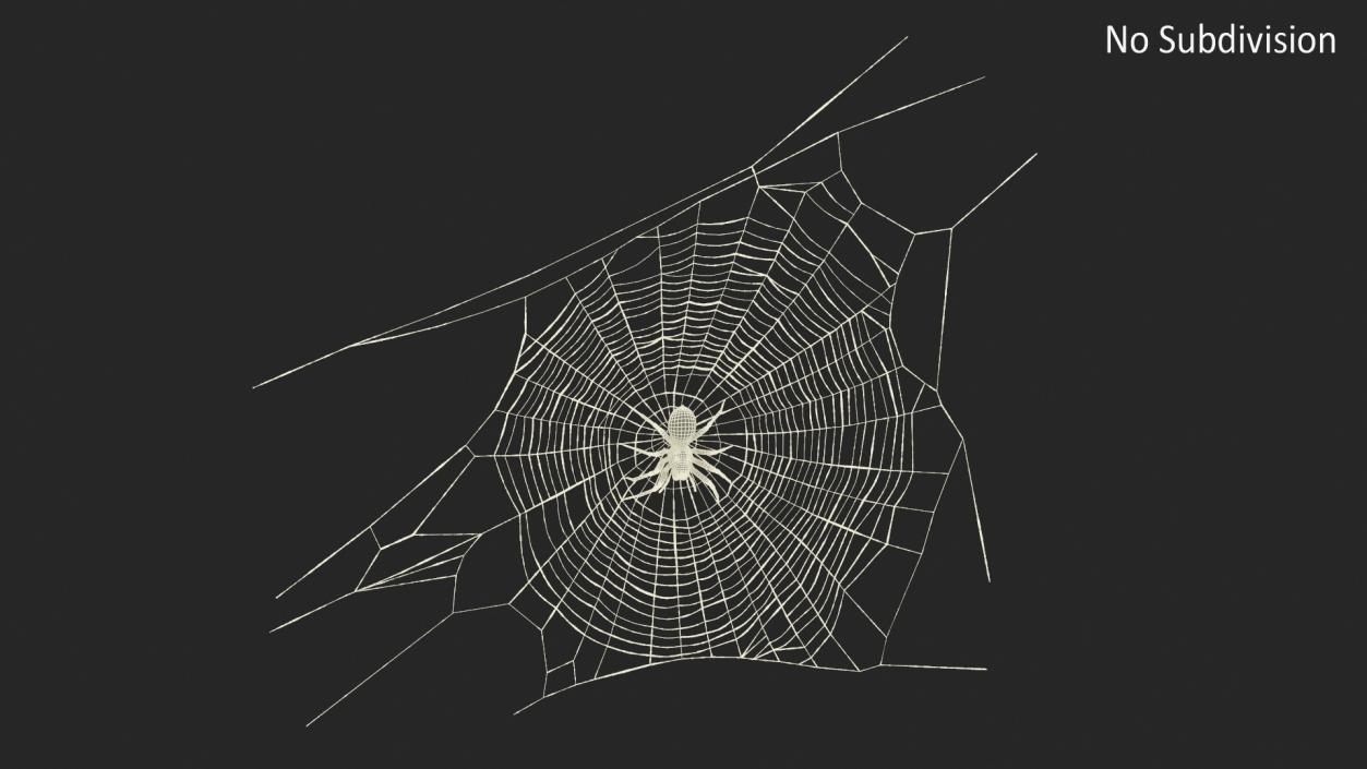 3D Round Web with Spider