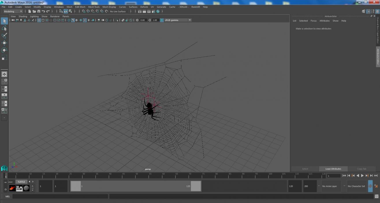 3D Round Web with Spider