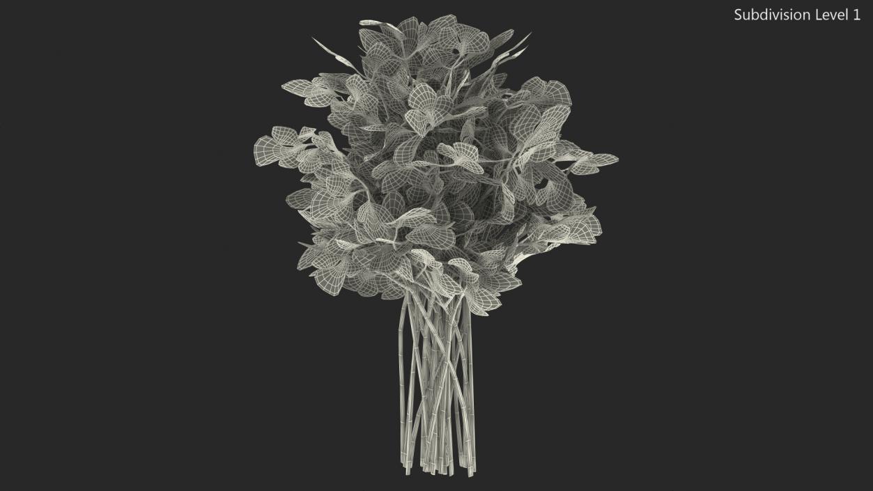 3D Parsley Bunch model