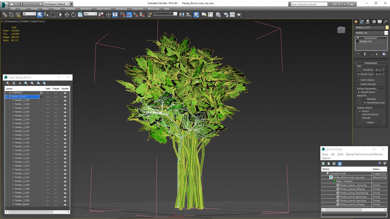 3D Parsley Bunch model