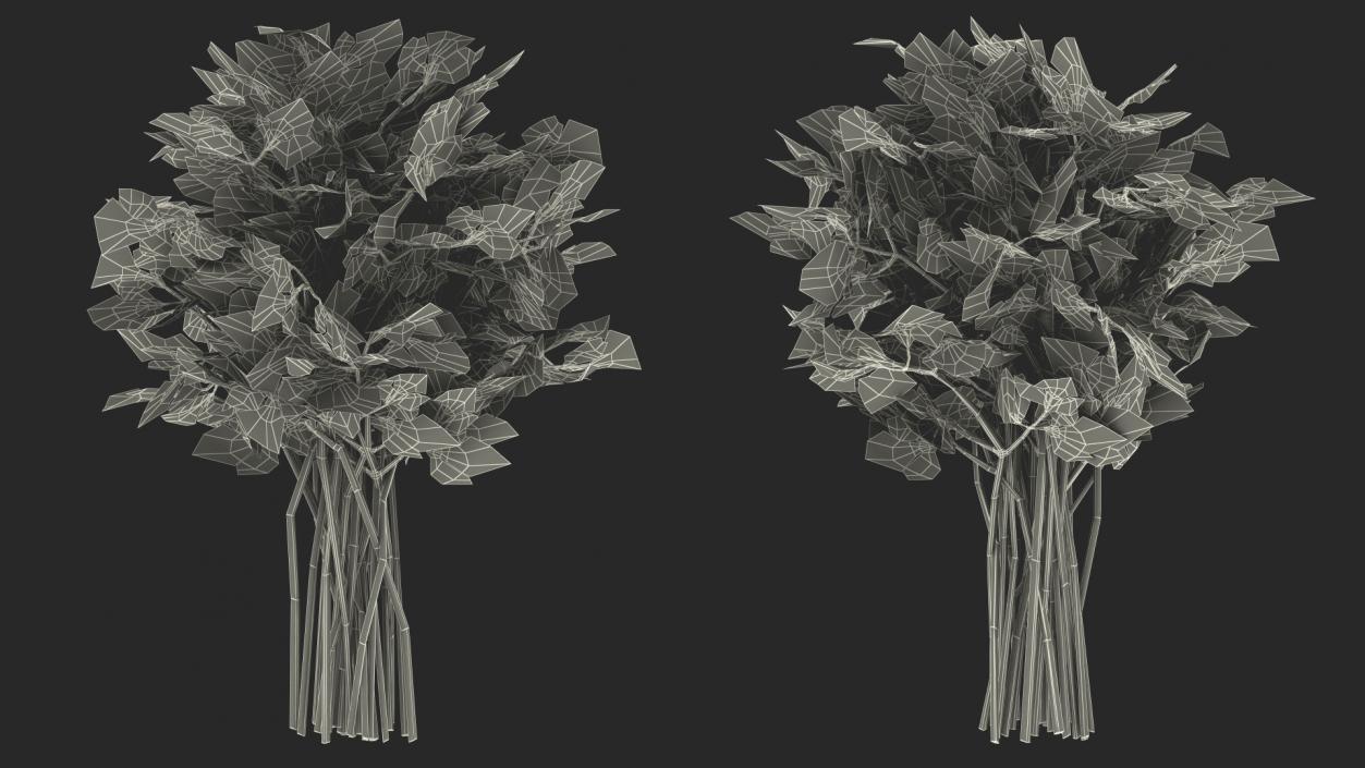 3D Parsley Bunch model