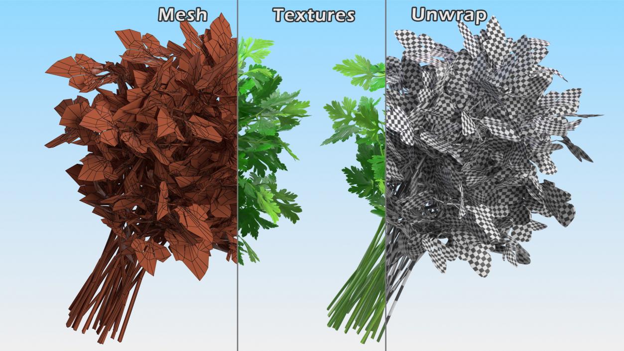 3D Parsley Bunch model