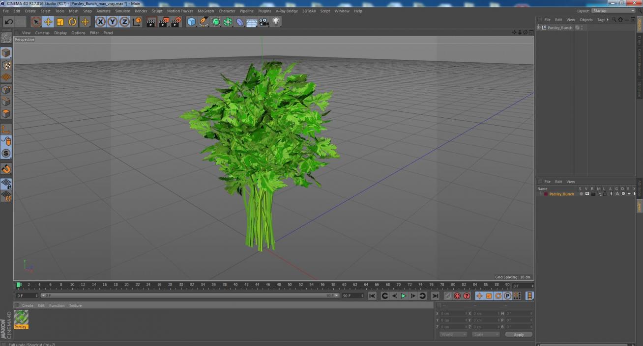 3D Parsley Bunch model