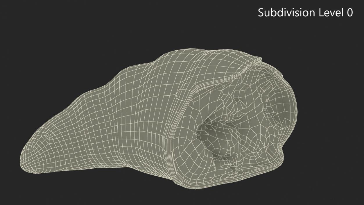 Half of Croissant 3D