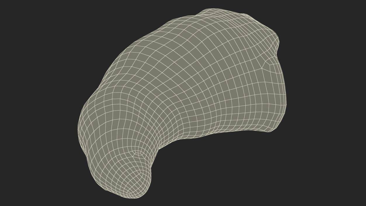 Half of Croissant 3D