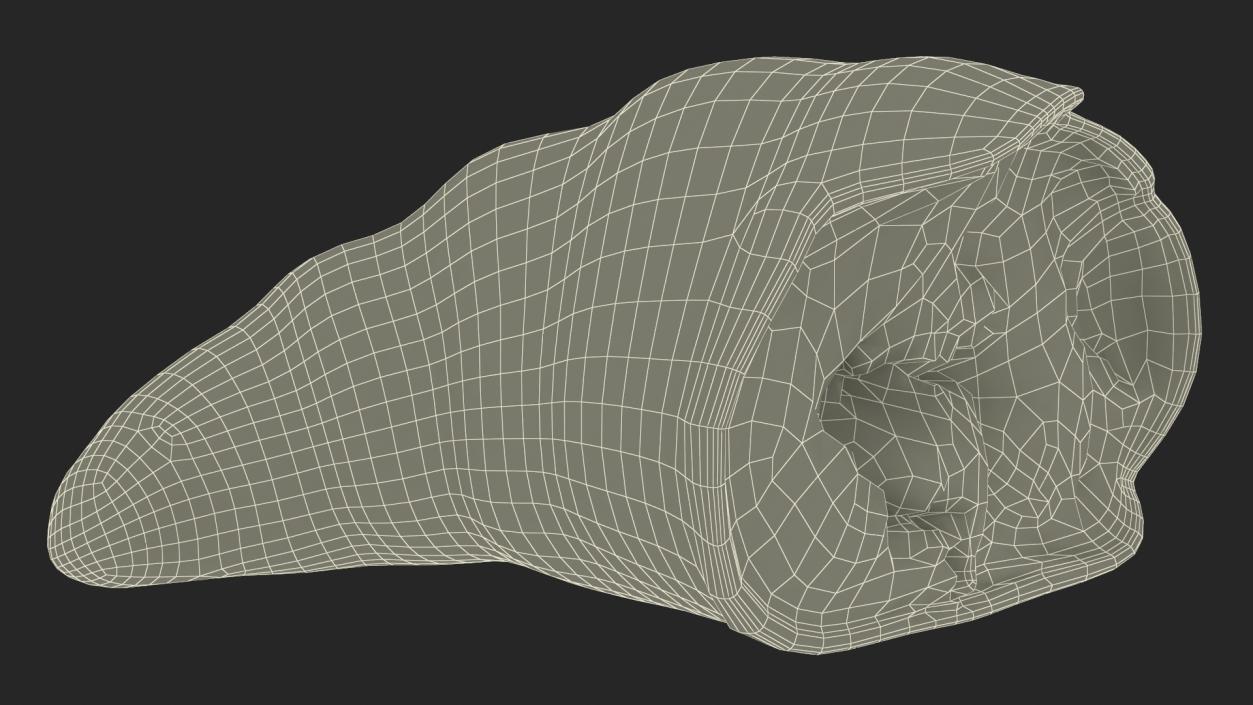 Half of Croissant 3D