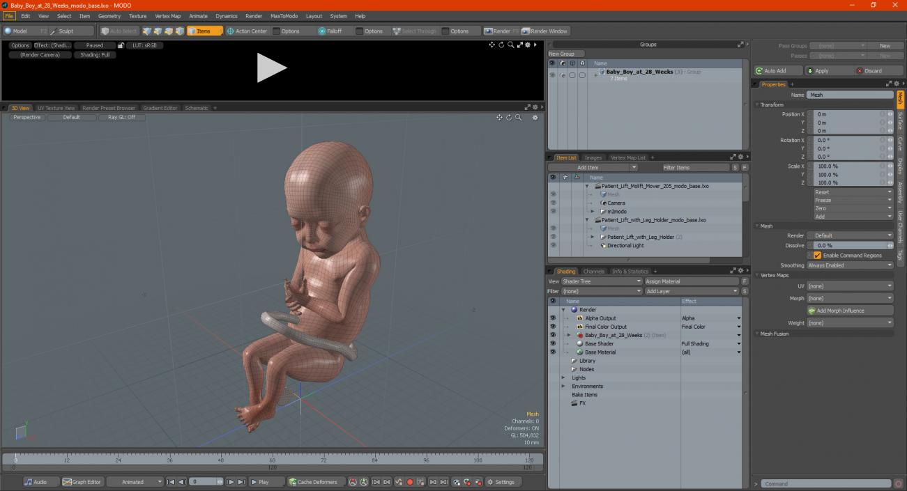 3D model Baby Boy at 28 Weeks