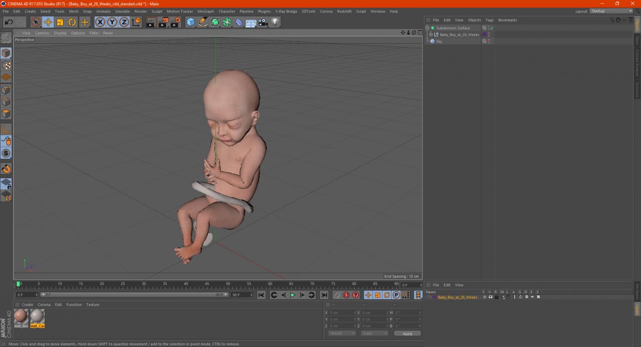 3D model Baby Boy at 28 Weeks