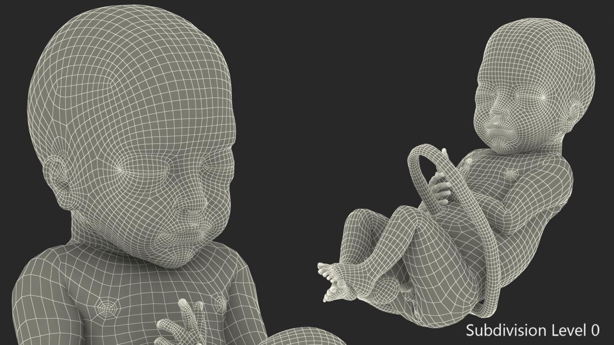 3D model Baby Boy at 28 Weeks