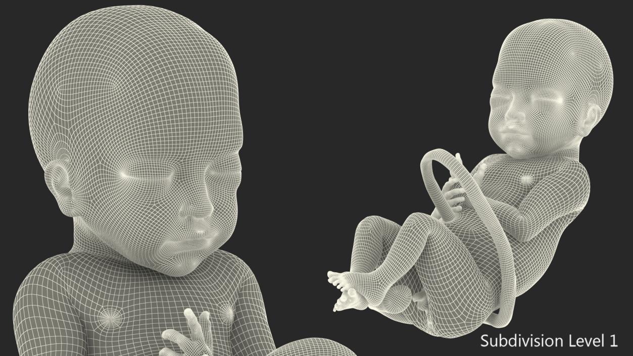 3D model Baby Boy at 28 Weeks