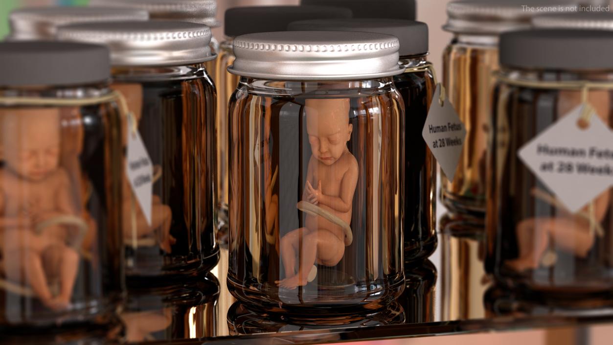 3D model Baby Boy at 28 Weeks