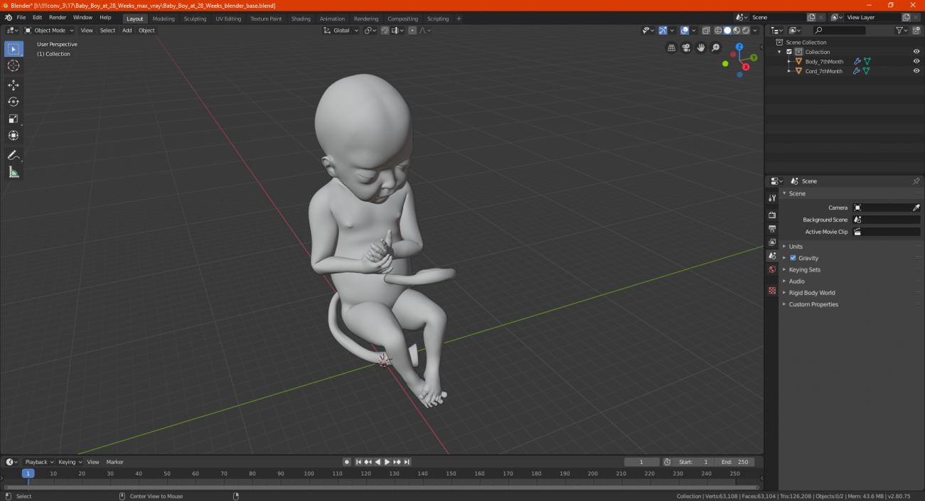 3D model Baby Boy at 28 Weeks