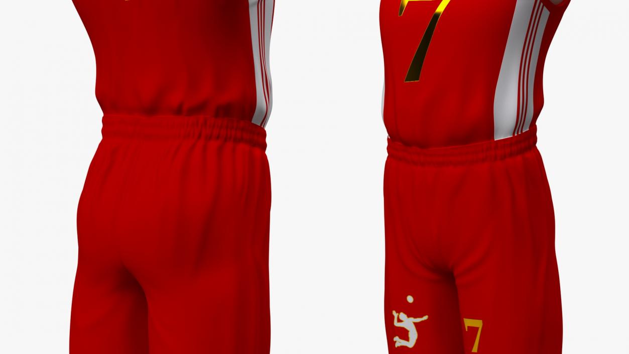 Chinese Volleyball Player Rigged 3D