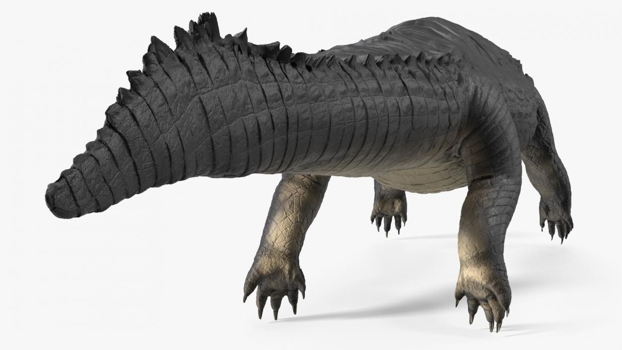 3D model Melanosuchus Niger Rigged