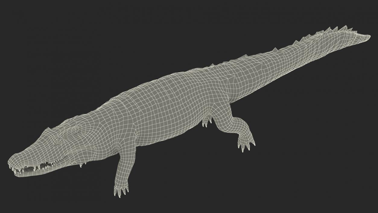 3D model Melanosuchus Niger Rigged