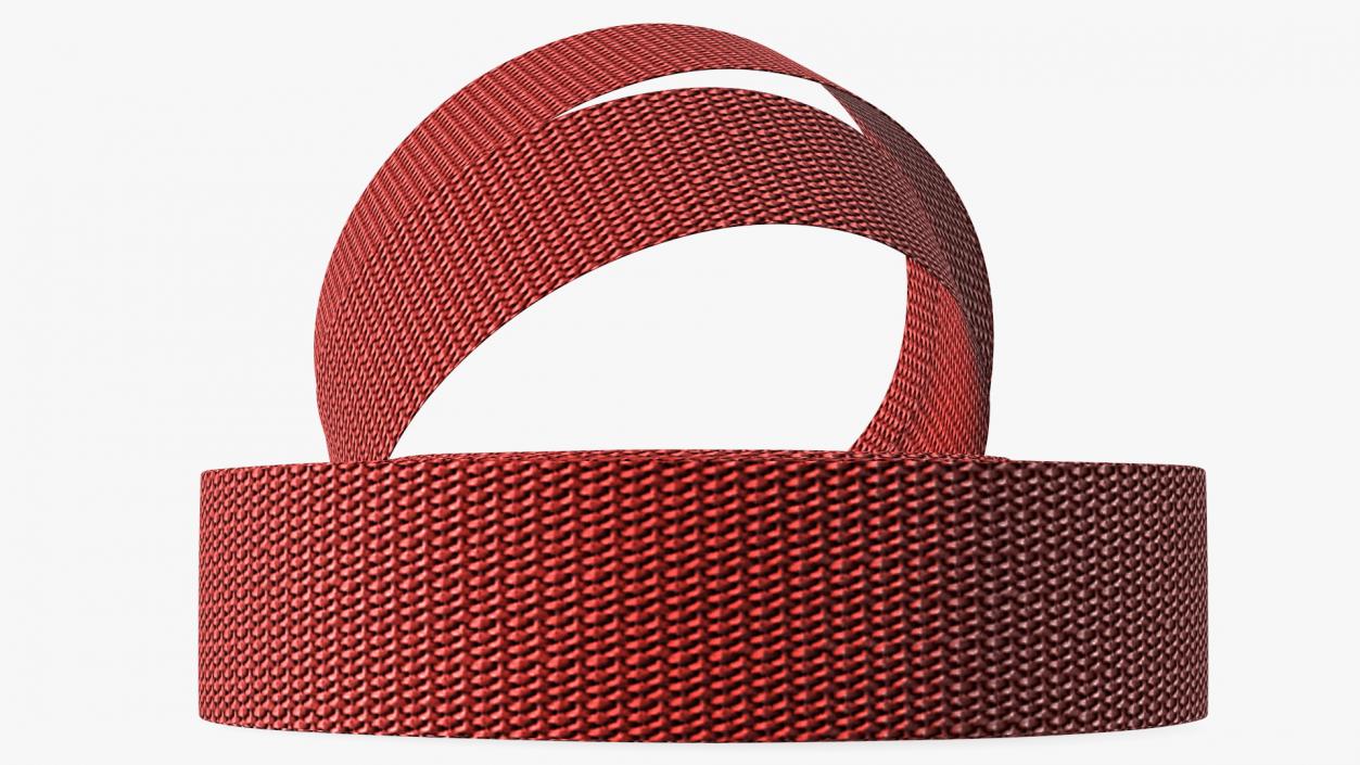 3D model Heavy Duty Belt Strap Red