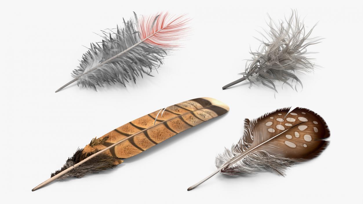 3D Feathers Collection 2