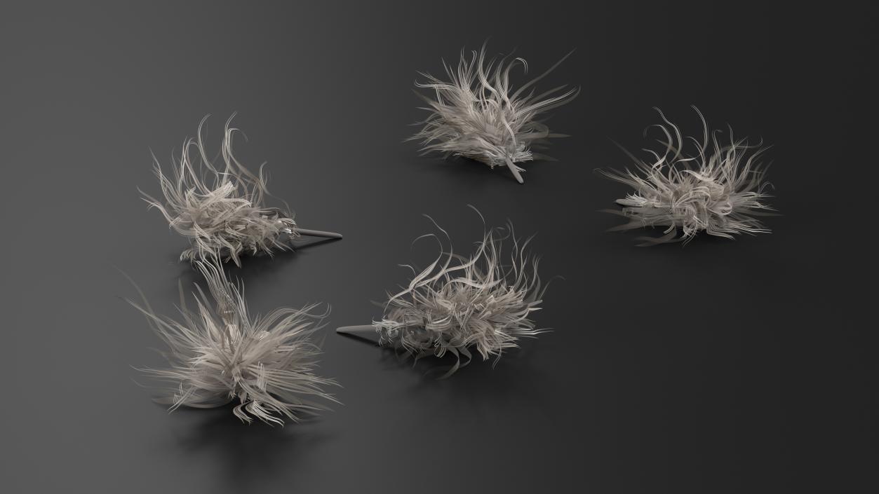 3D Feathers Collection 2