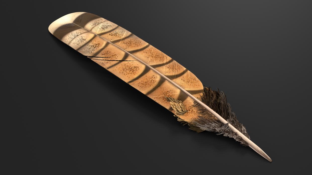 3D Feathers Collection 2