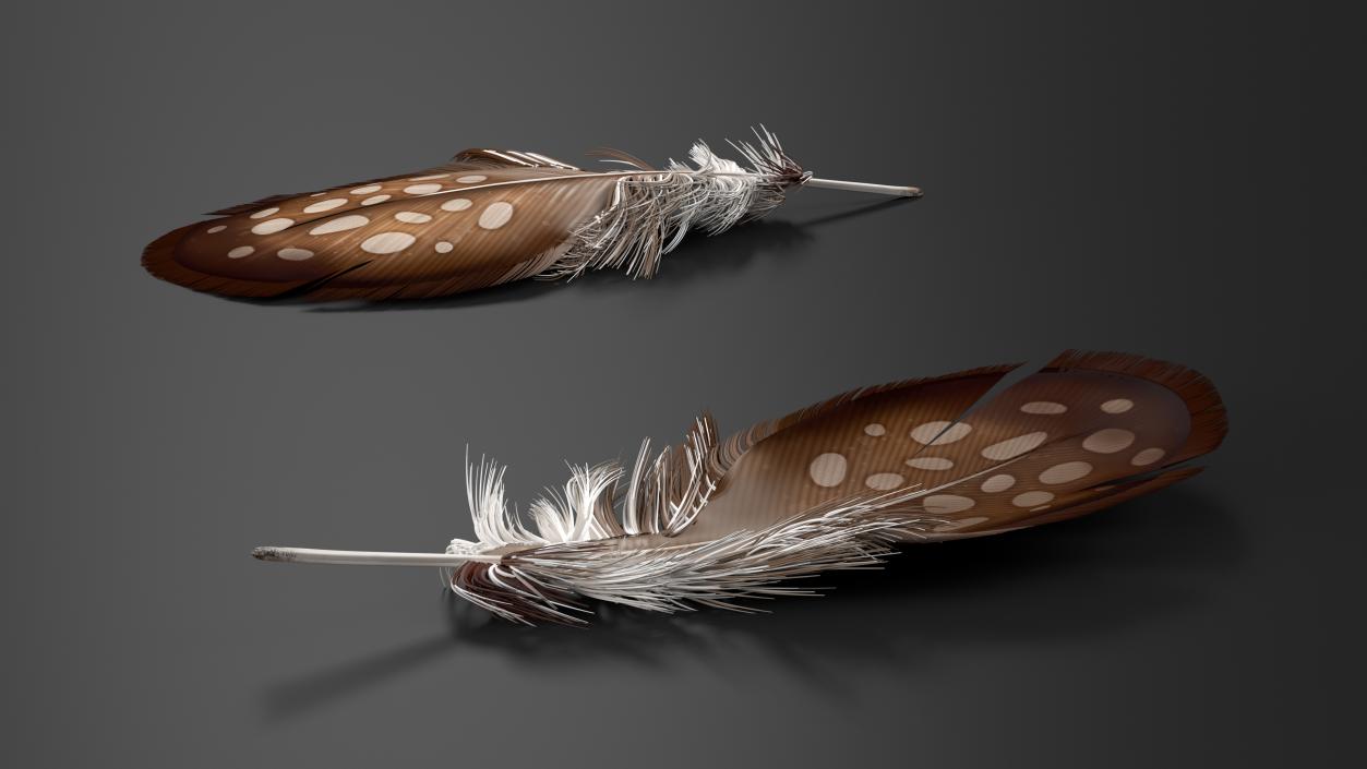 3D Feathers Collection 2