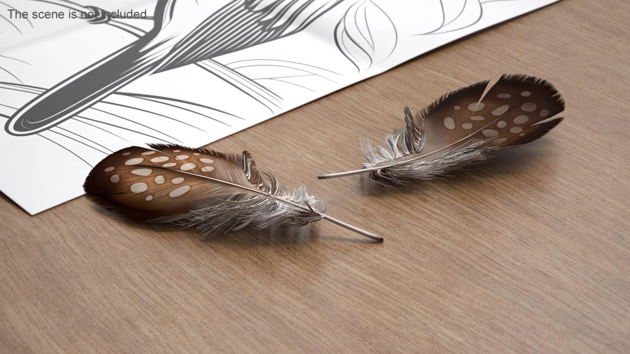 3D Feathers Collection 2