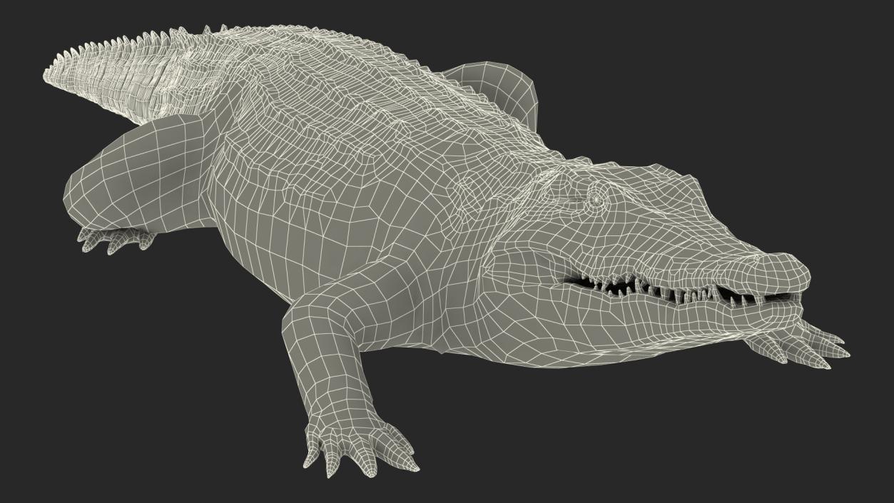 Animated Crocodile Collection 3D model