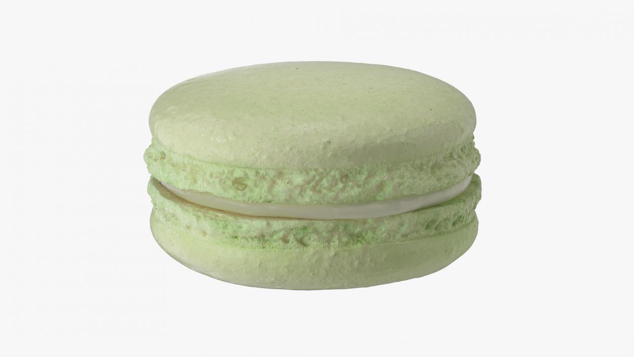 Pistachio Macaron 3D