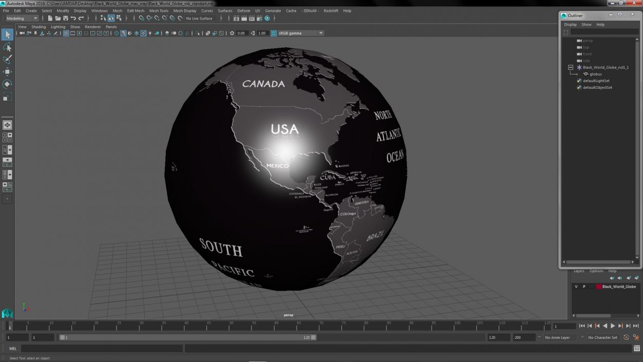 Black World Globe 3D