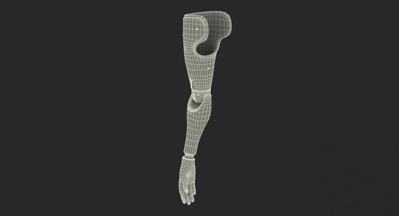 3D Prosthetic Collection