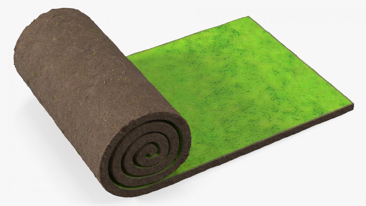 Lawn Turf Roll 3D model