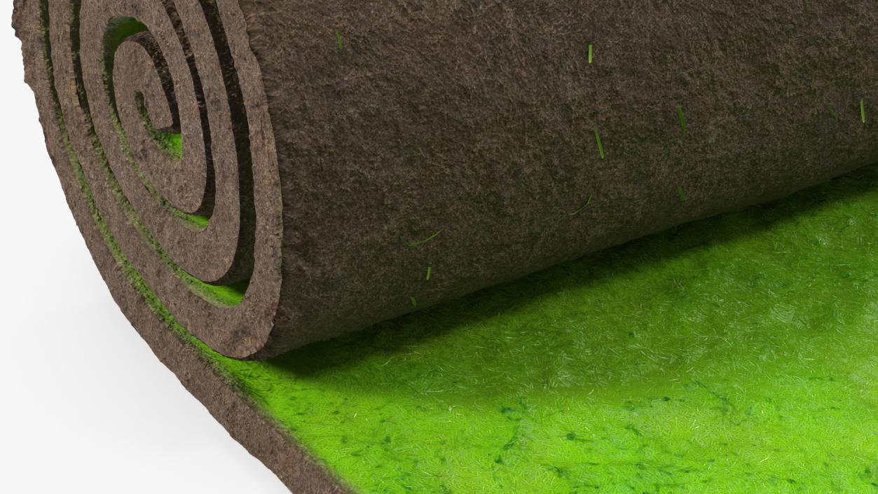 Lawn Turf Roll 3D model