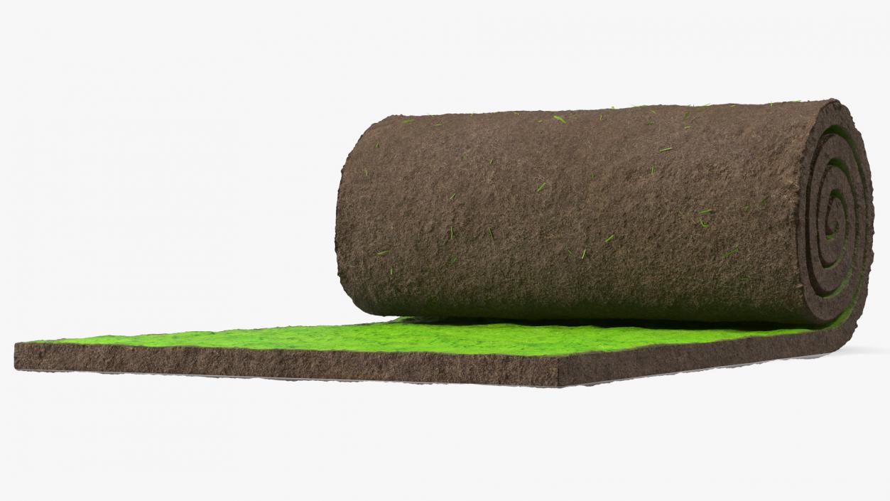 Lawn Turf Roll 3D model