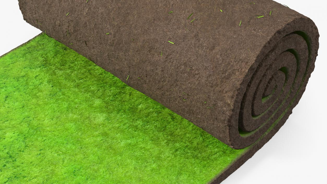 Lawn Turf Roll 3D model