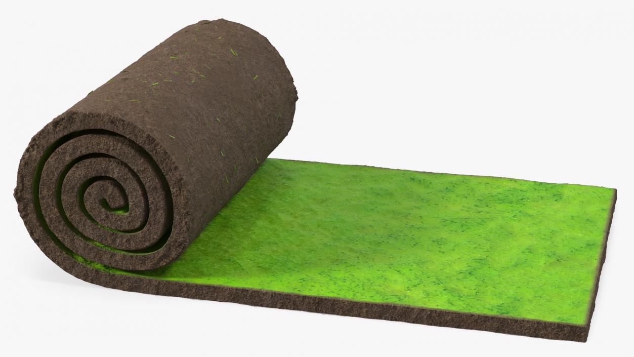 Lawn Turf Roll 3D model