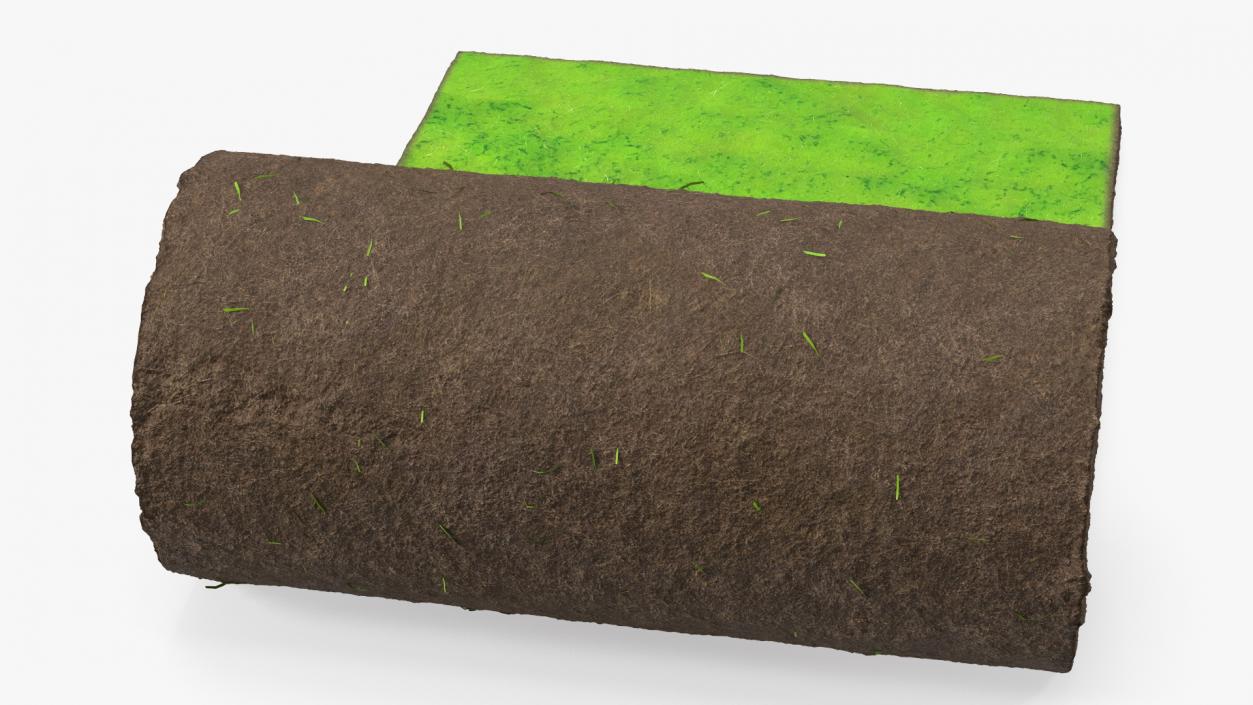 Lawn Turf Roll 3D model